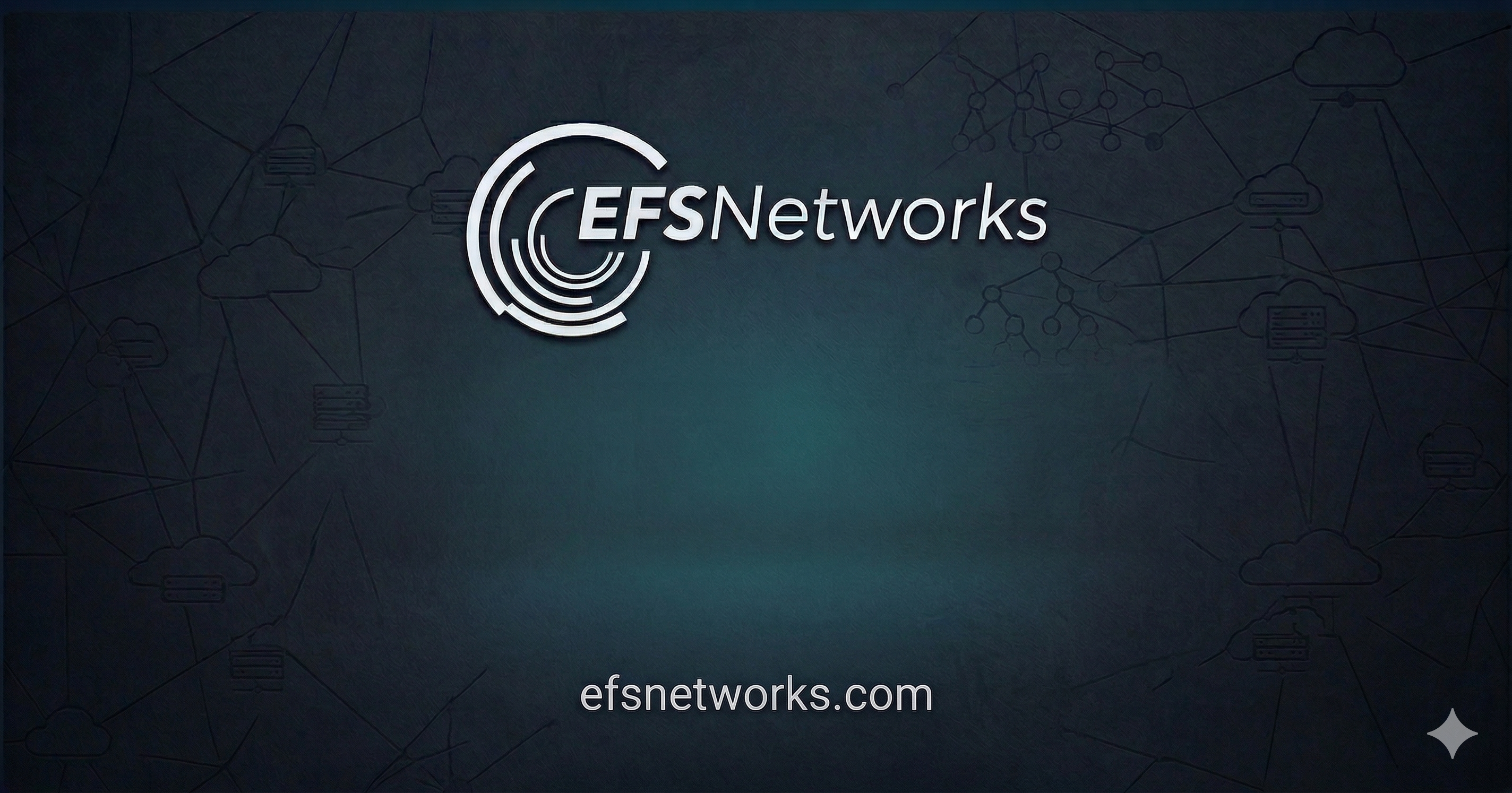 Terms and Conditions | EFS Networks